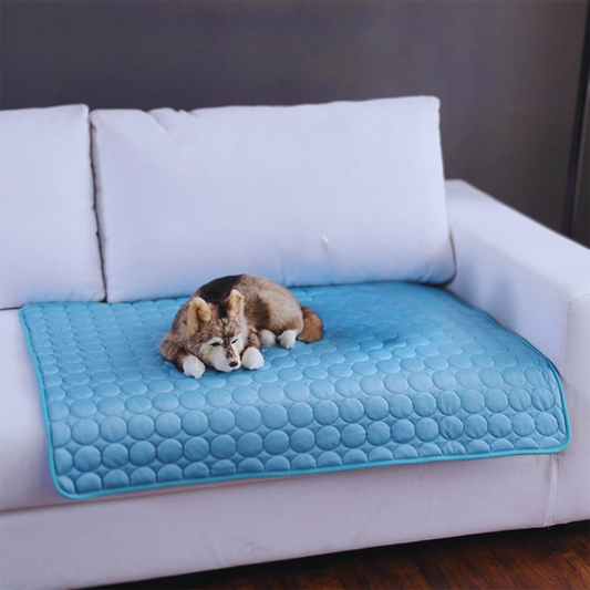 Cooling Pet Mat – Instant Relief from Summer Heat for Dogs & Cats